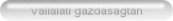 Vállalati gazdaságtan